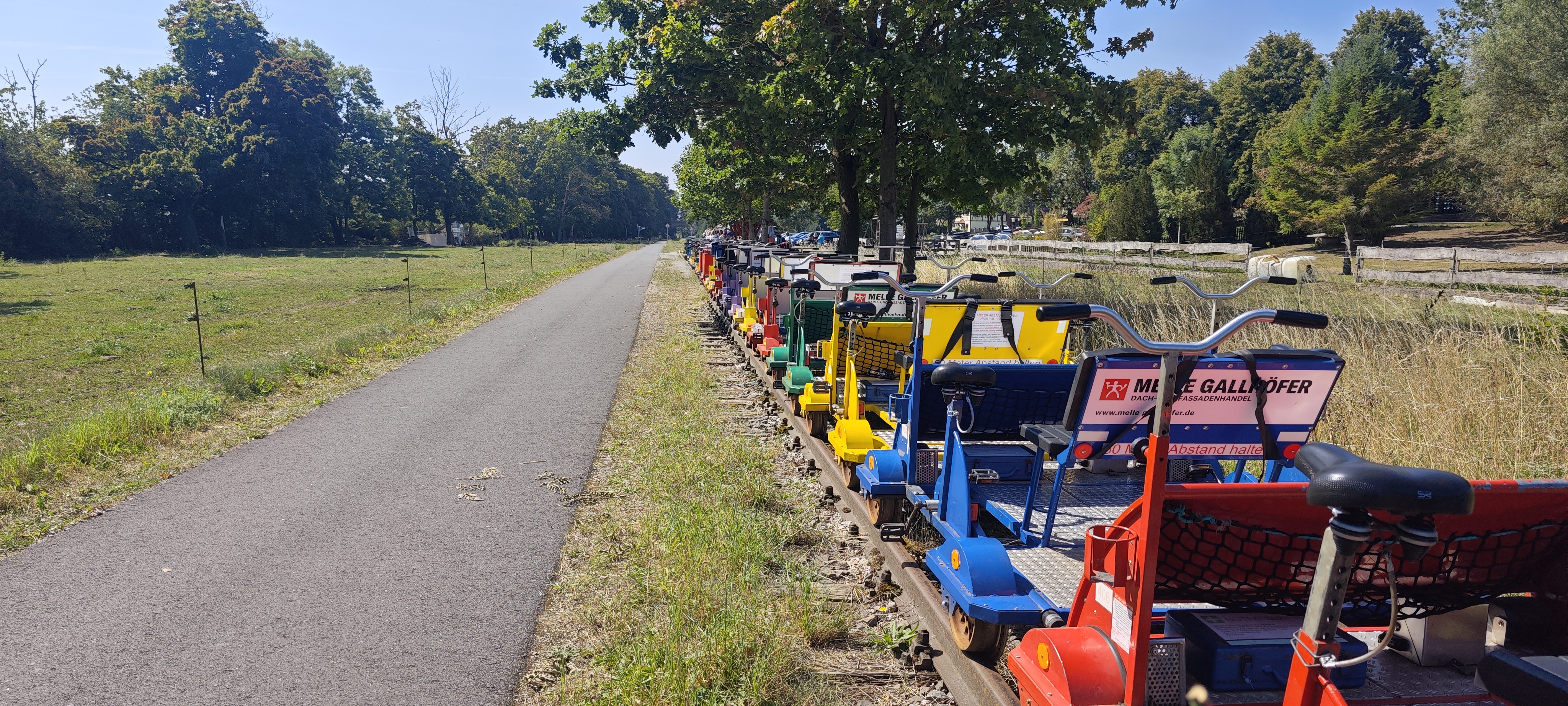 Gruppe auf Pedaldraisinen in der Sommerlandschaft